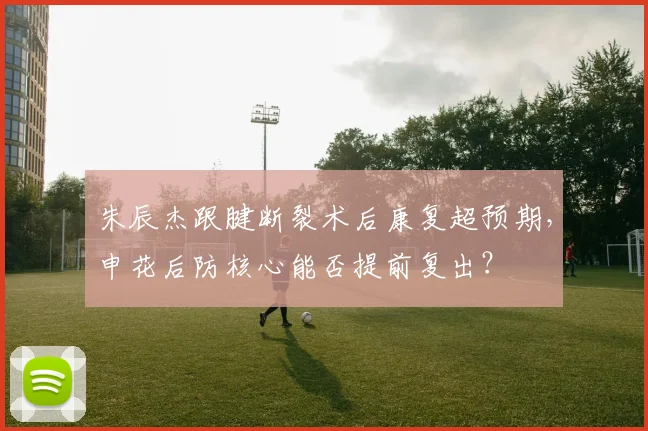 朱辰杰跟腱断裂术后康复超预期,申花后防核心能否提前复出?